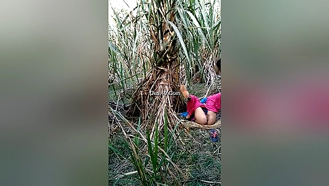 Hot brunette outdoors fucker and her pussy sucking