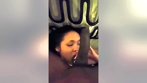 Amateur brunette handjob and blowjob with a big cock