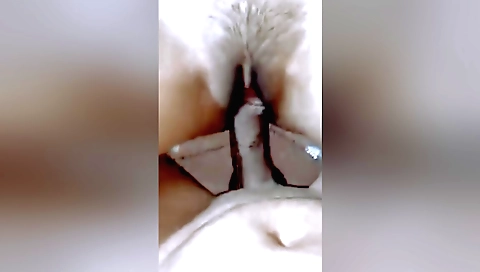 Hairy teen in a sexy bikini and stockings is doing a porn vid