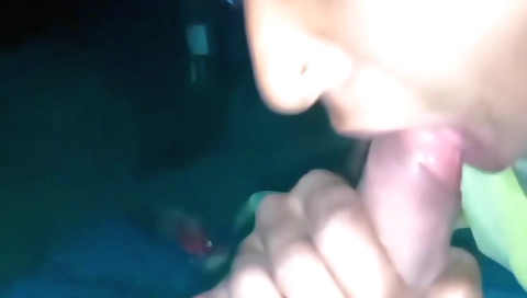 Indian brunette with a sexy body is fucked on the bed